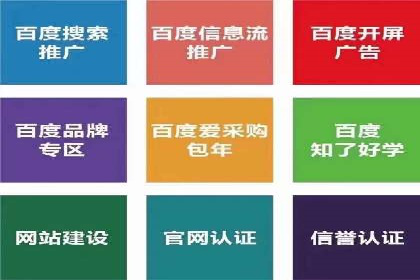 行业领先企业的SEM代理案例剖析